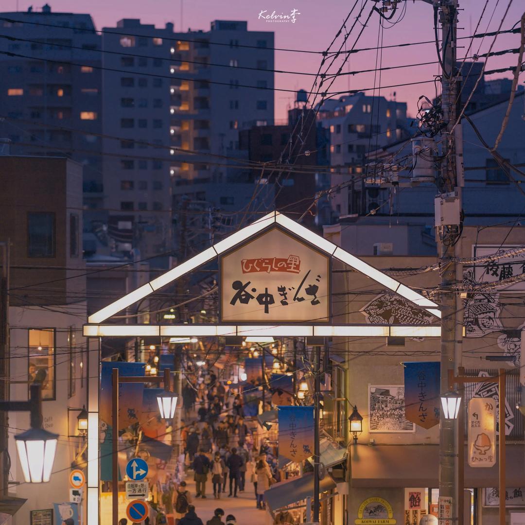 煲剧小能手