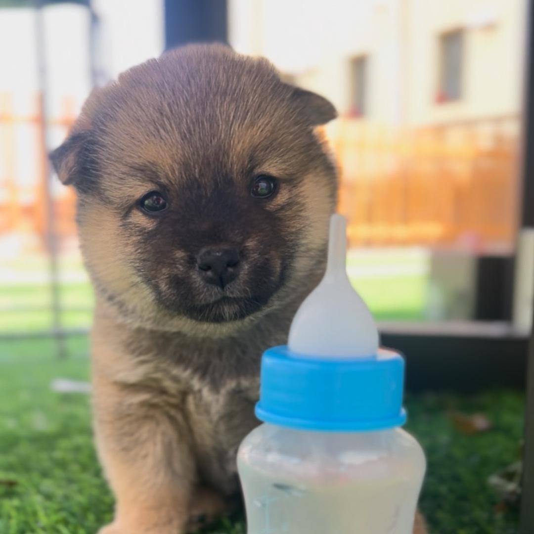 店长亿万💰🐶