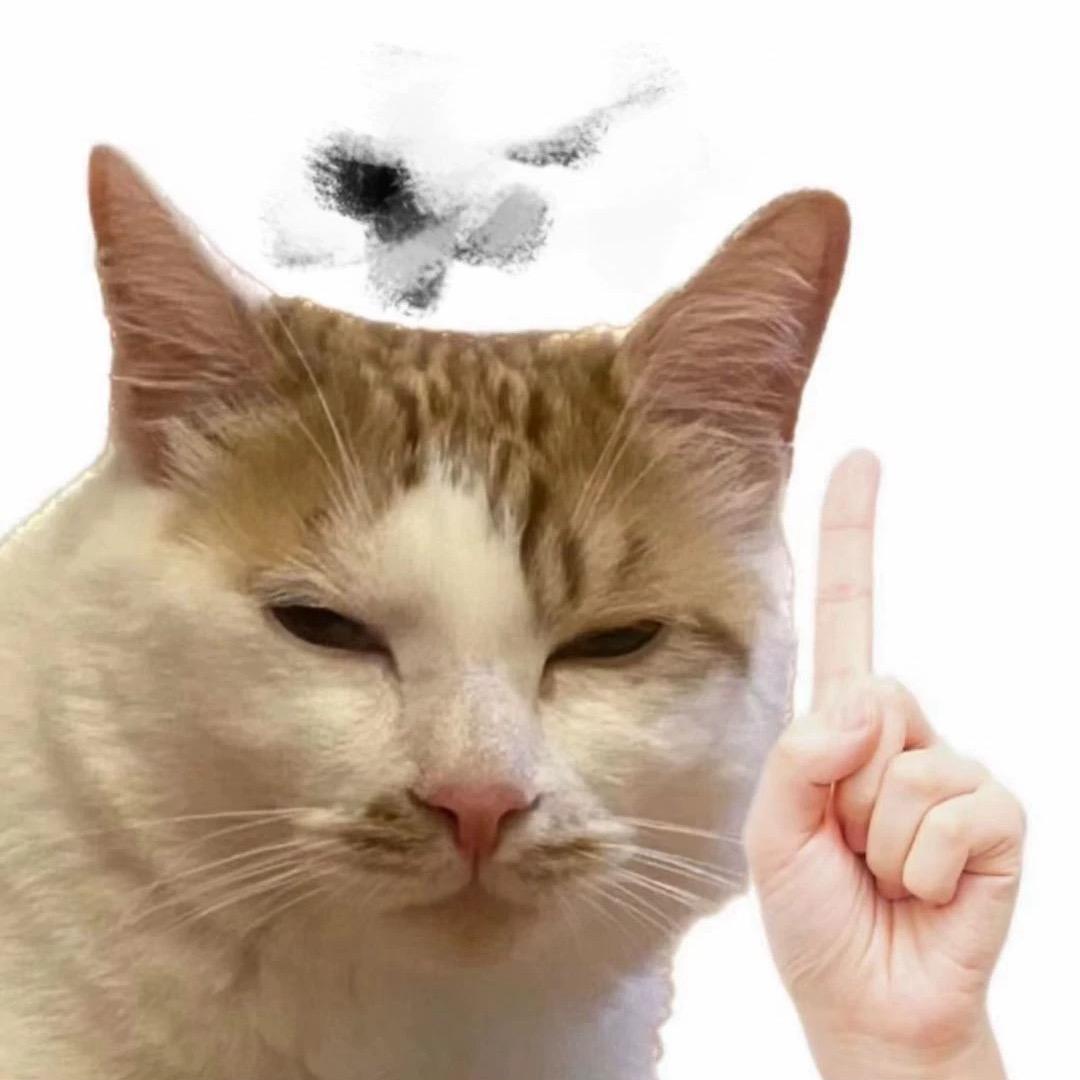阿瑞   ㅤ
