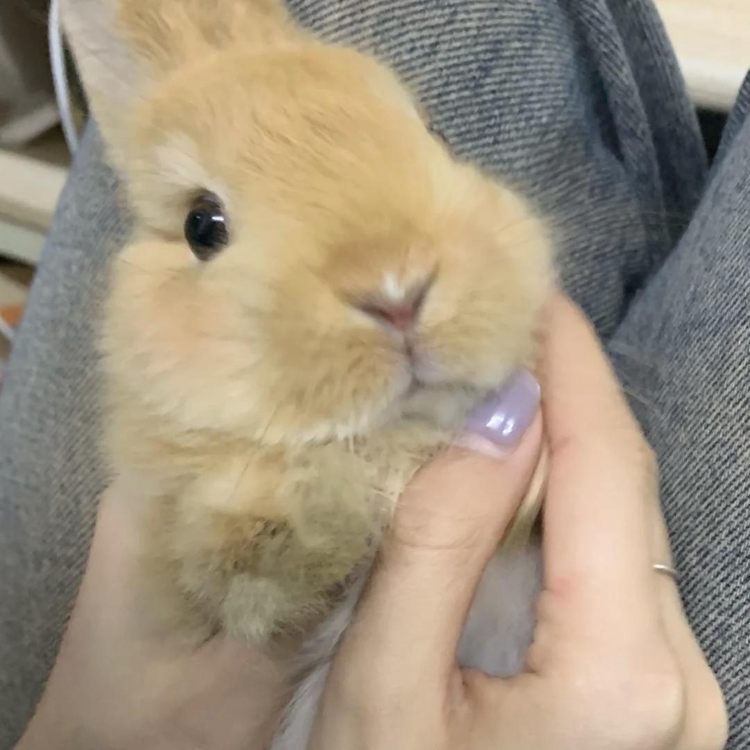 晓铭