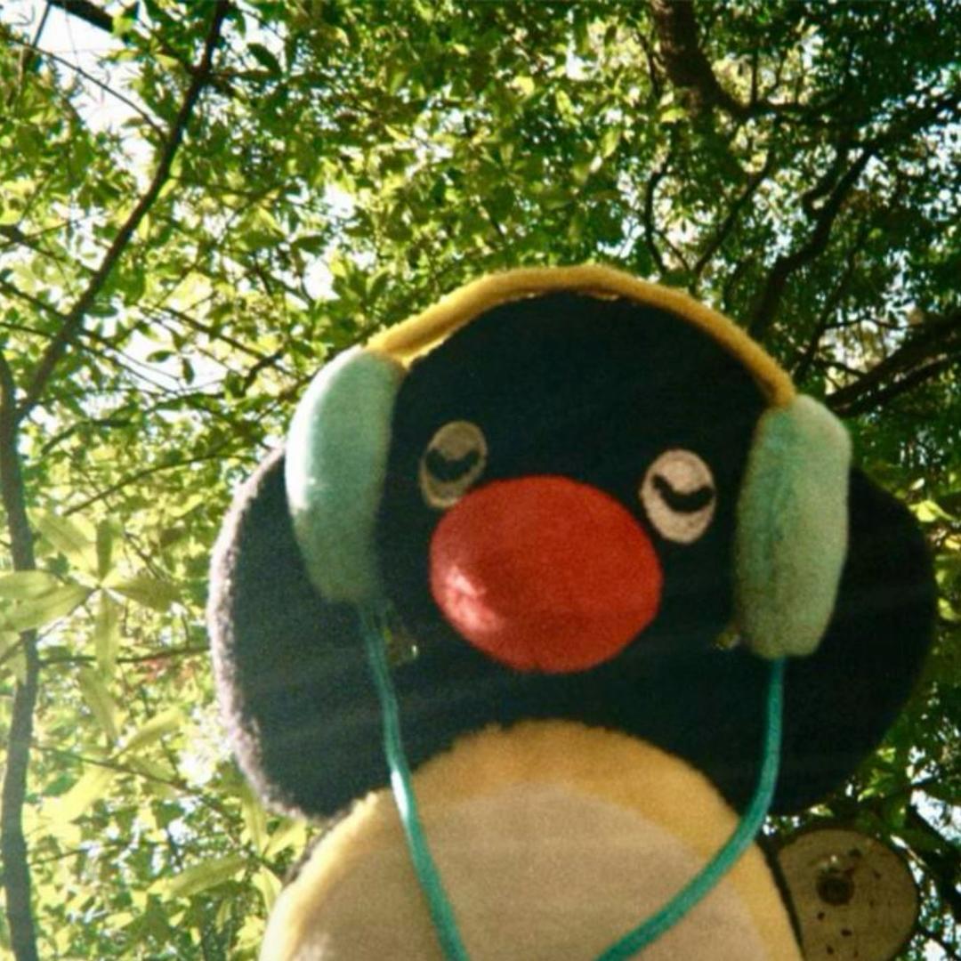 鲨鱼嘉