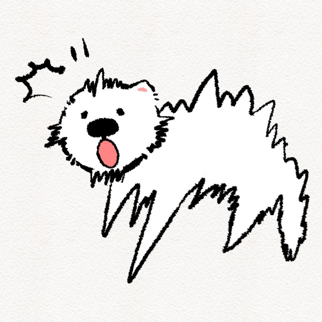 小狗七七