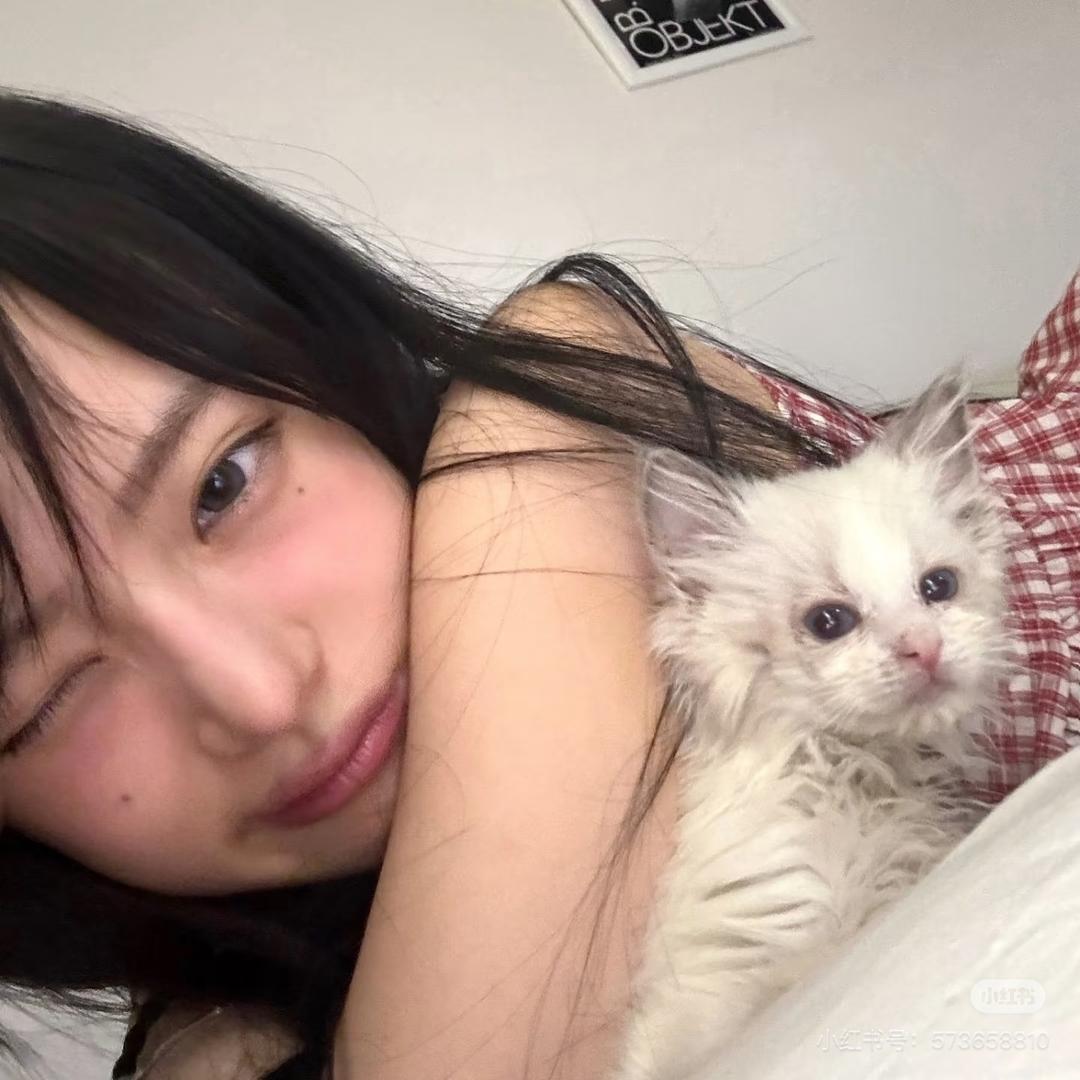 失眠小羊🐑