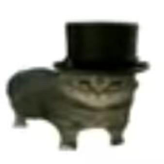 歪盖