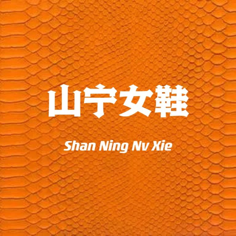 山宁女鞋SN