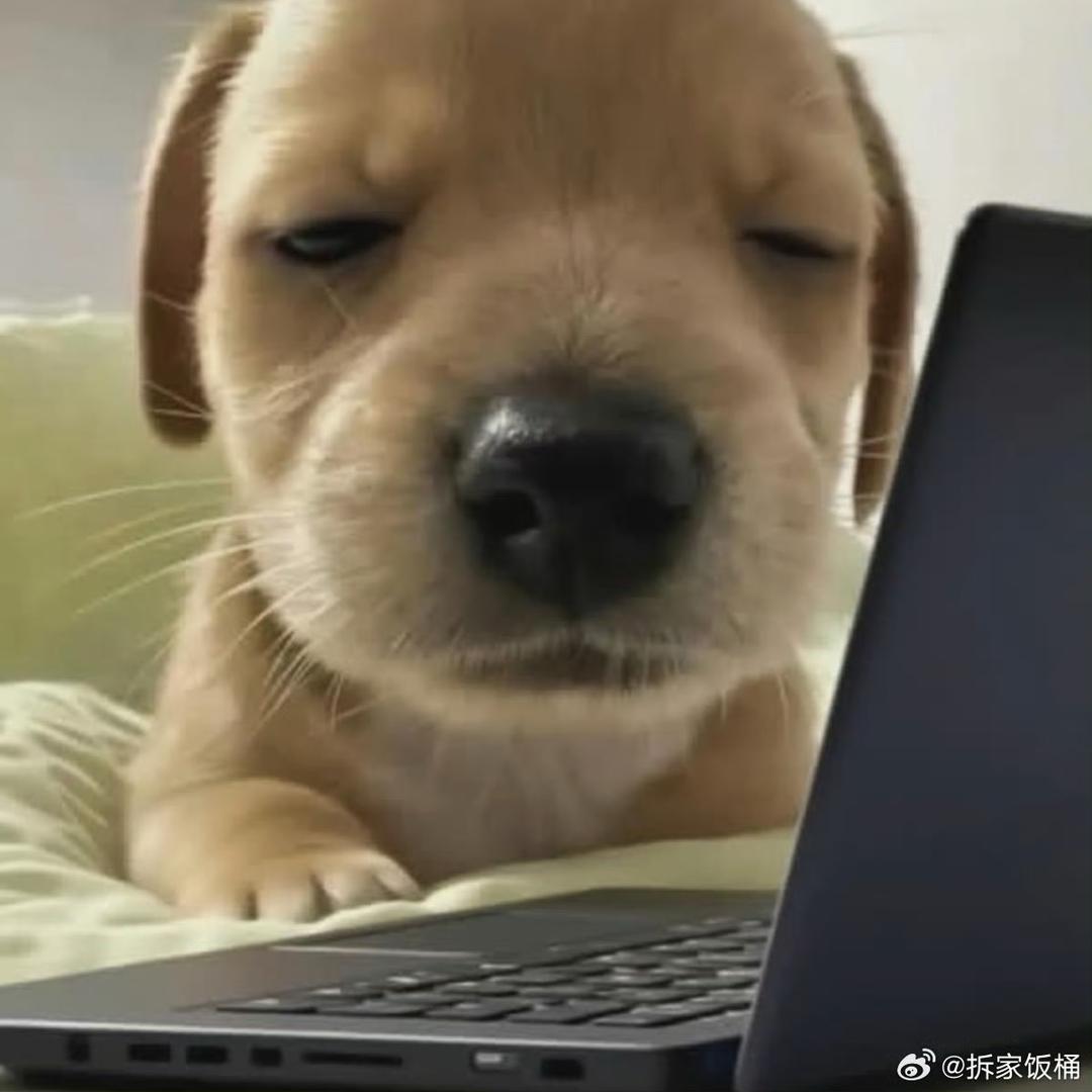 菜板切萝卜丁