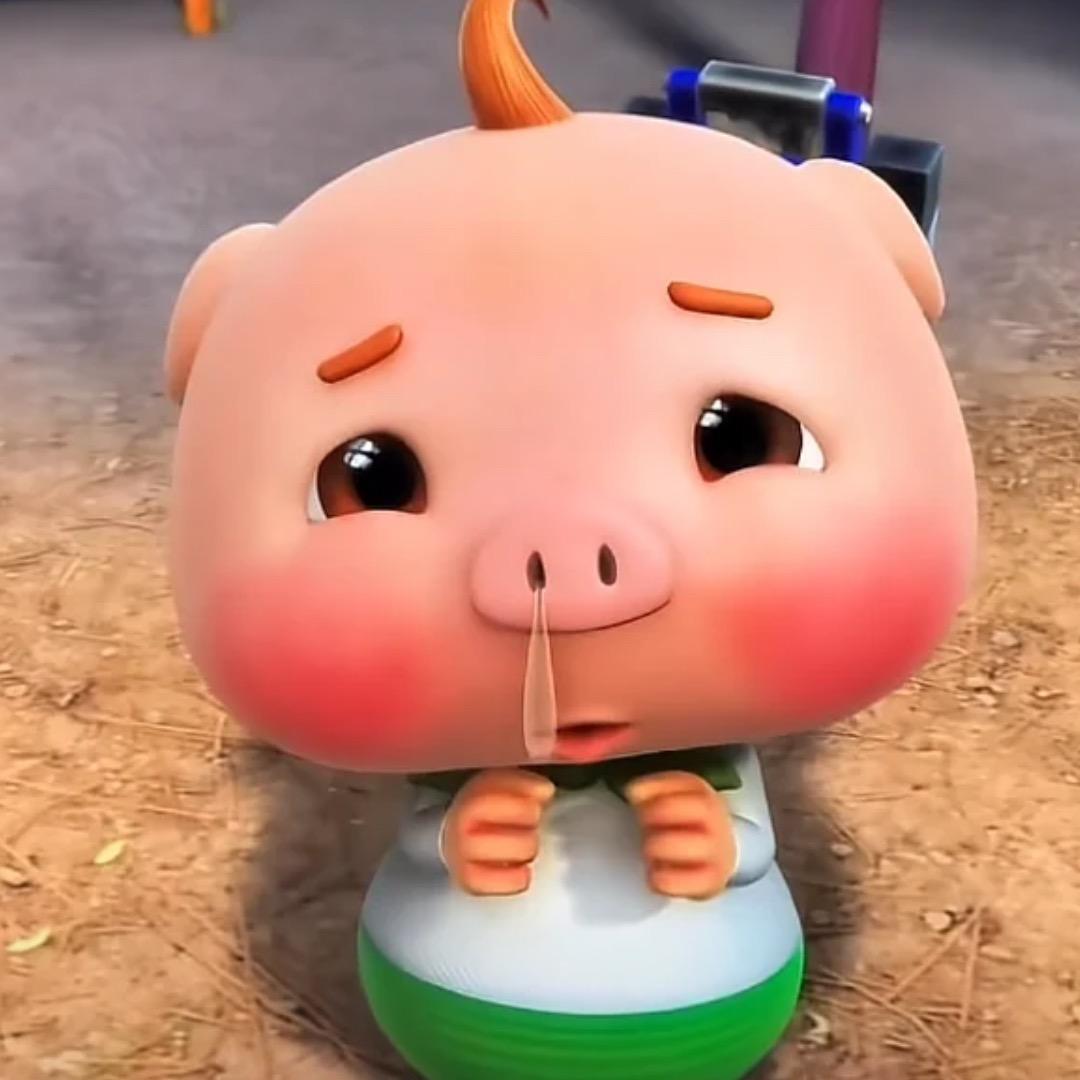 纯情小呆呆