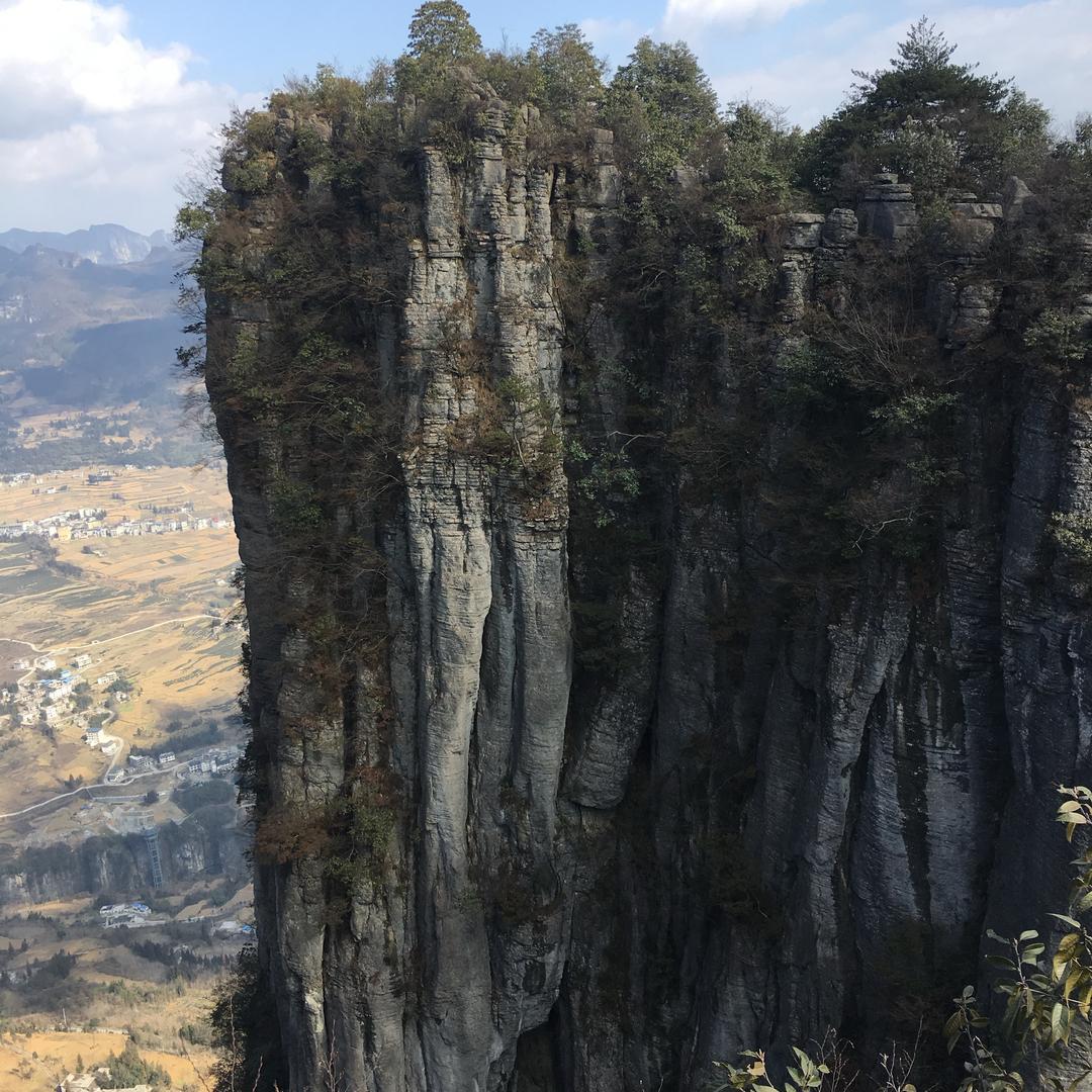 味蕾漫游