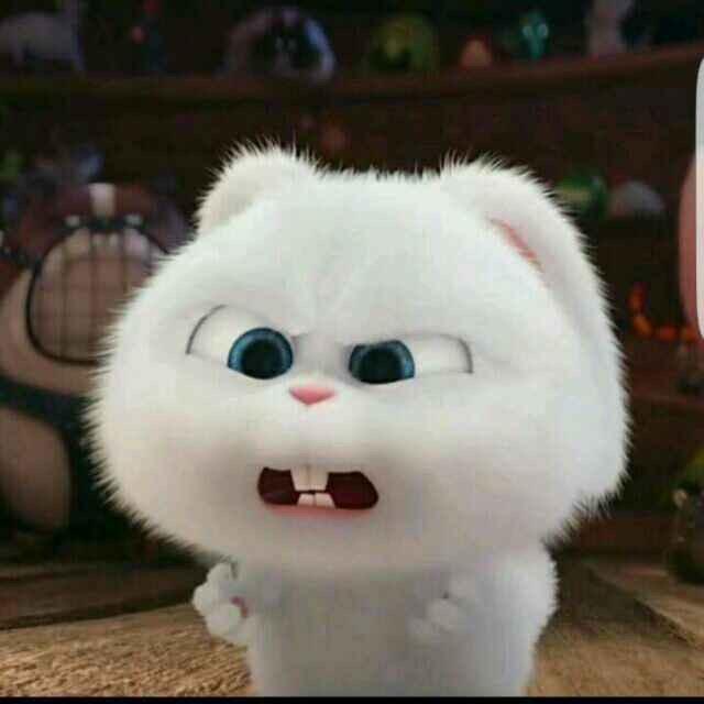 吃火锅不数签签儿