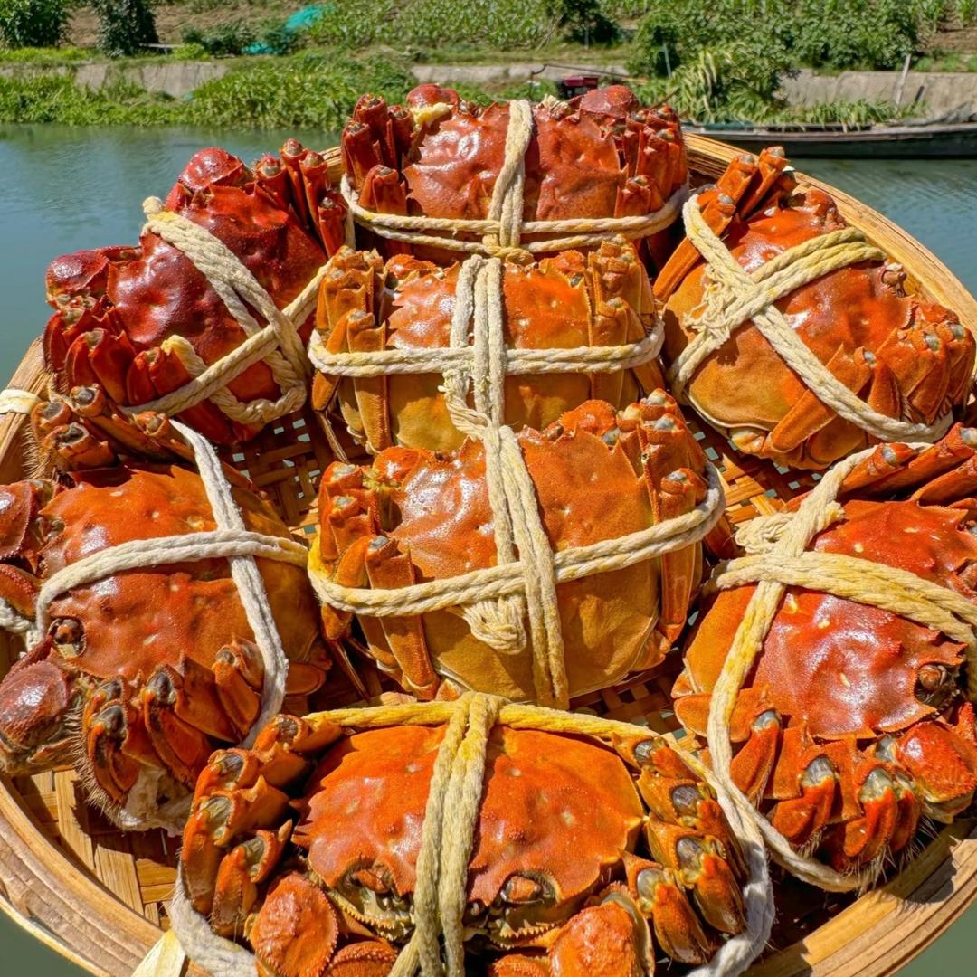 大闸蟹蟹农店