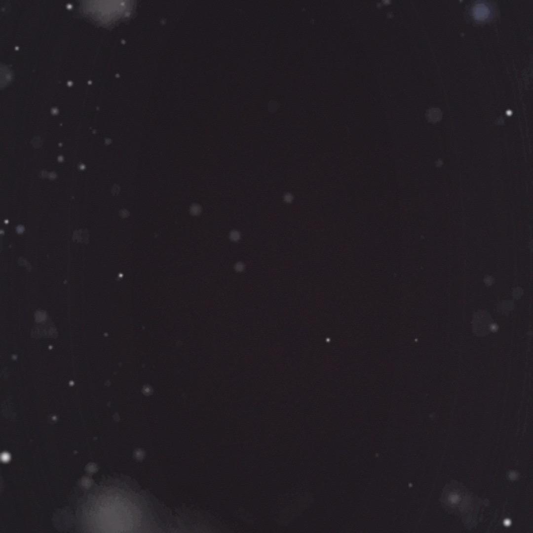 ong