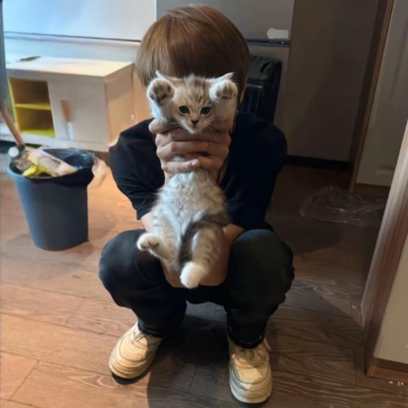 明天 见