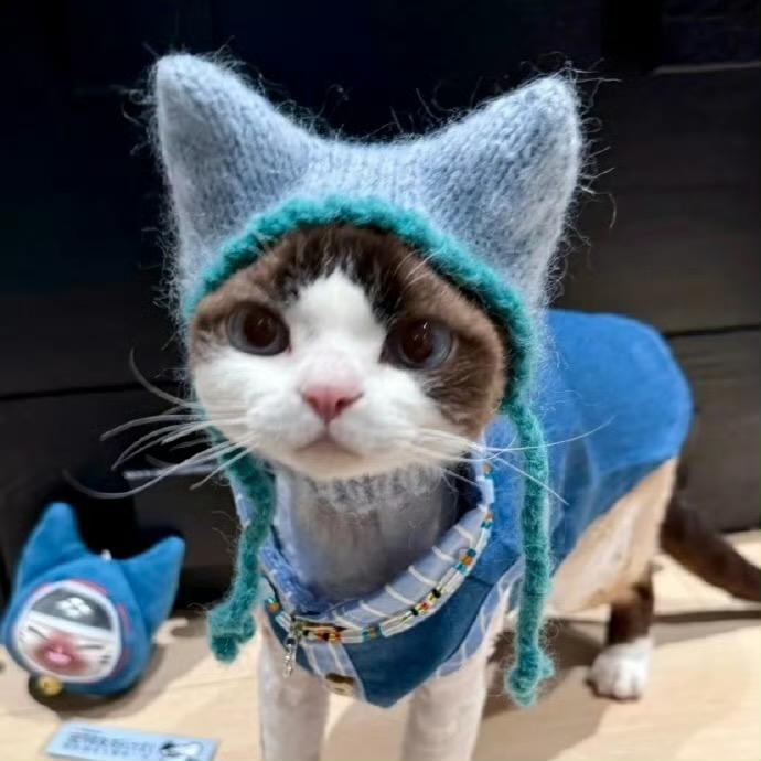 阿里嘎多美羊羊🎀(三角洲版)