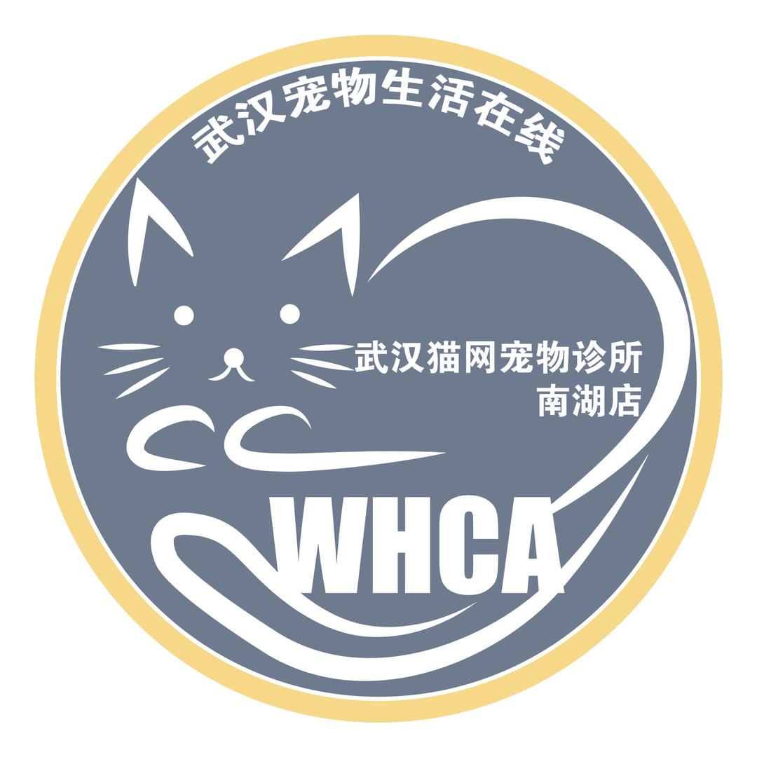 武汉猫网