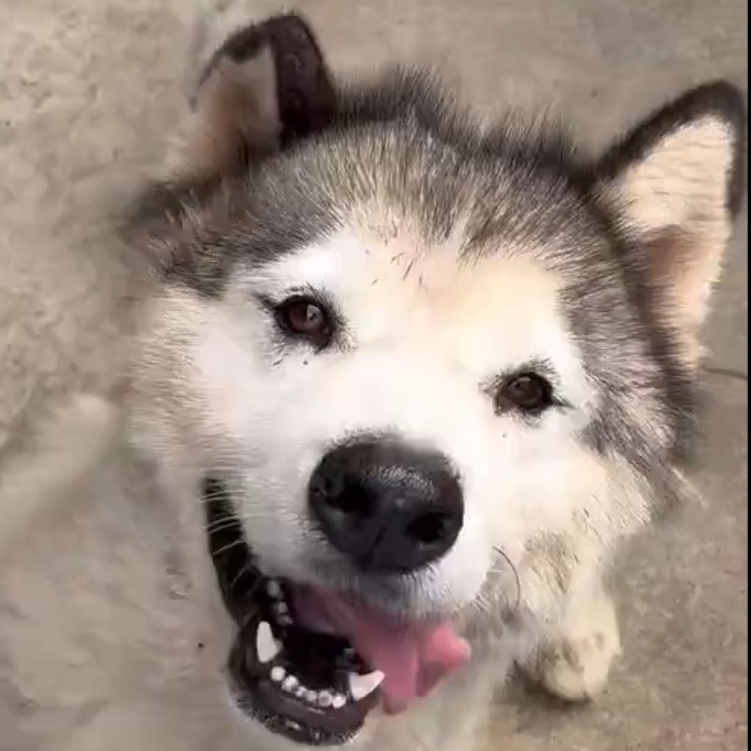 无名姐