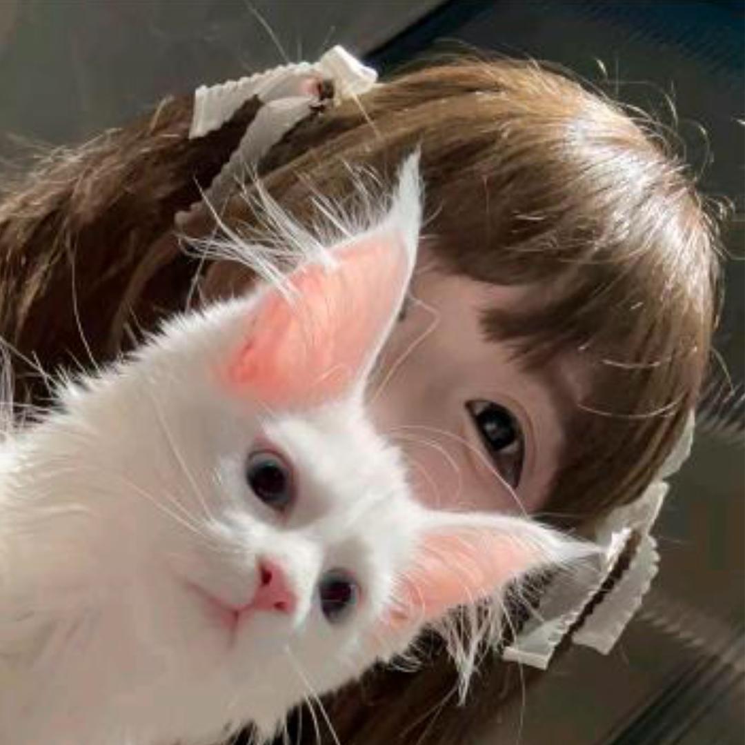 威化饼