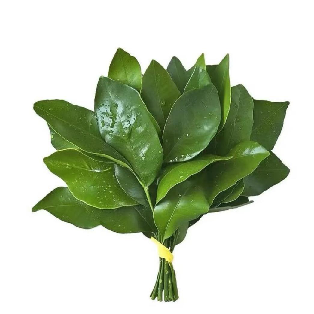 忧郁羊毛卷