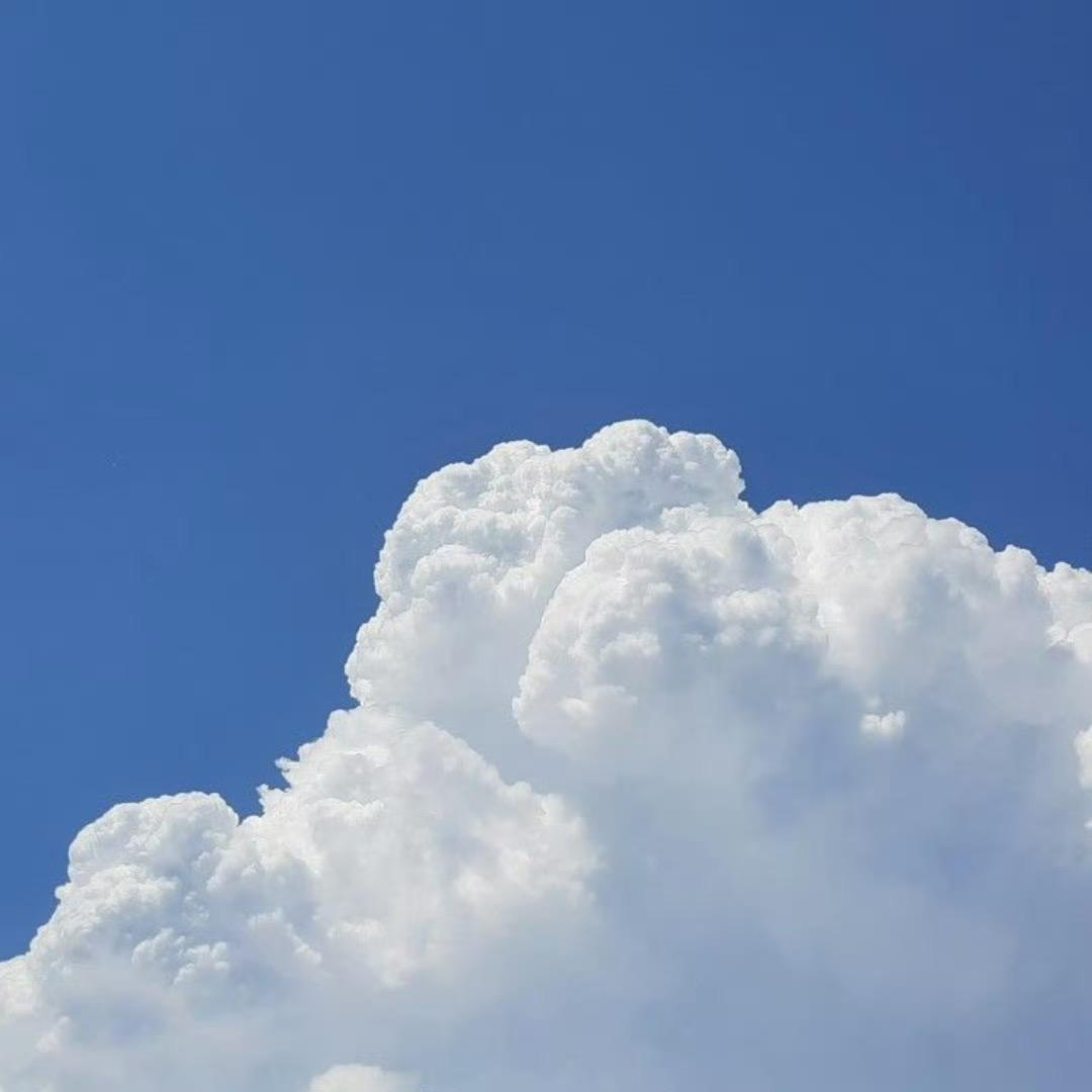 27331698612