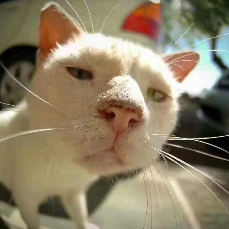 宇宙超无敌厉害最帅噼里啪托马斯暴龙战士