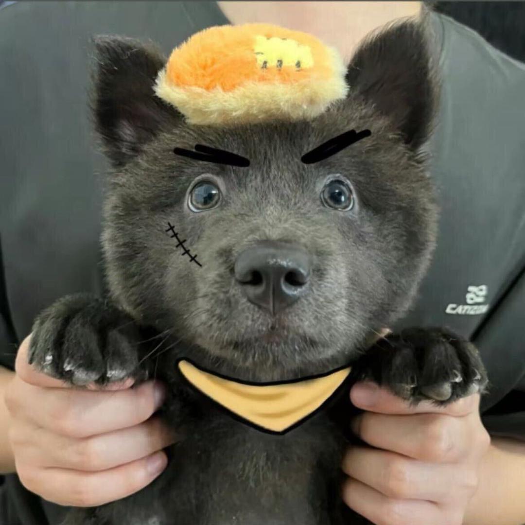开离