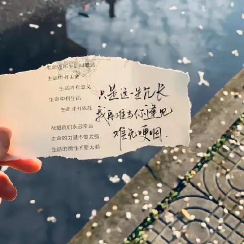 念夏
