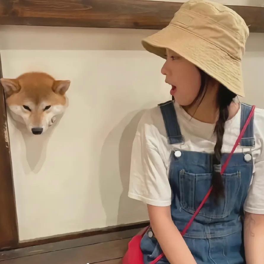 小张今天也很温柔