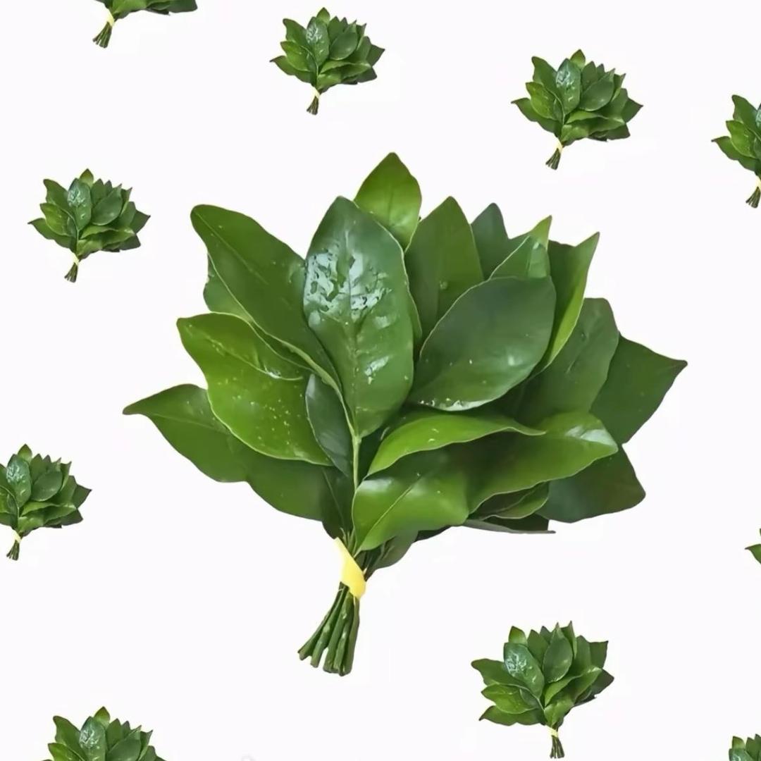 去挖野菜