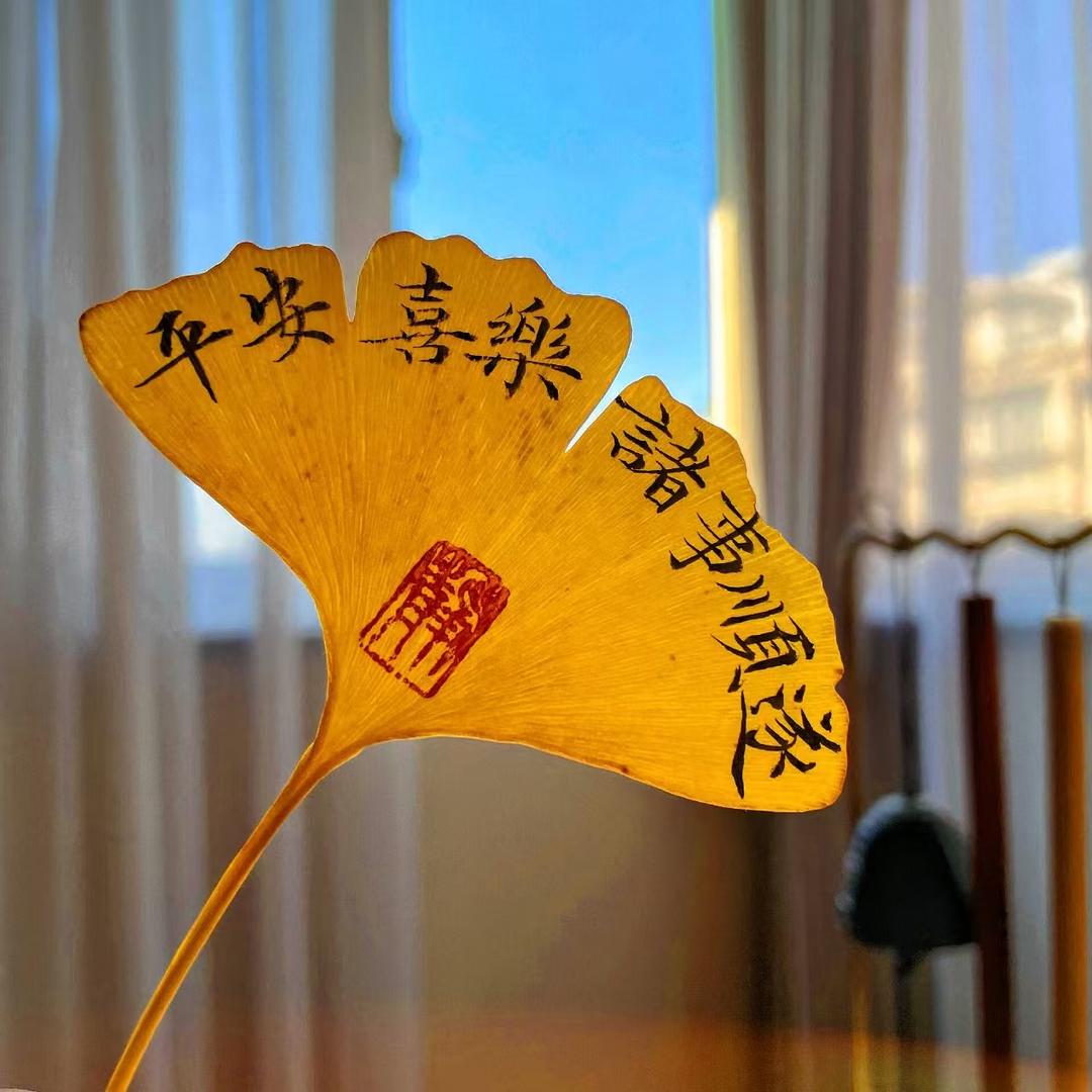 恍然如梦