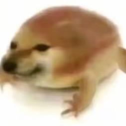 小鼻嘎玩我的世界