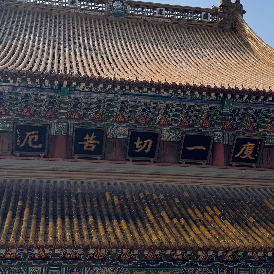爱平才会赢🍃🍃