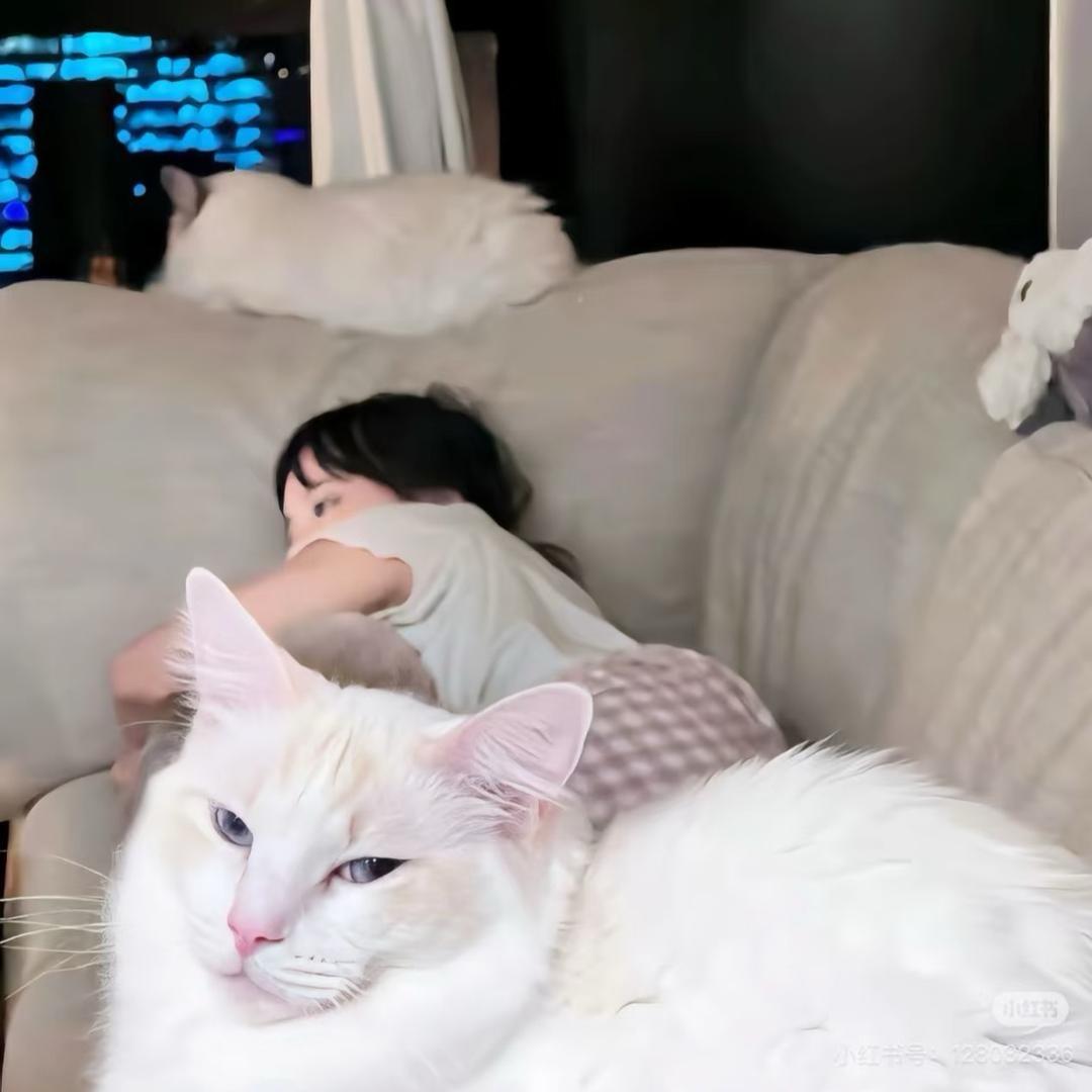 在想你
