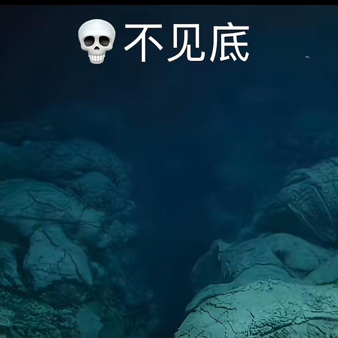 管理员