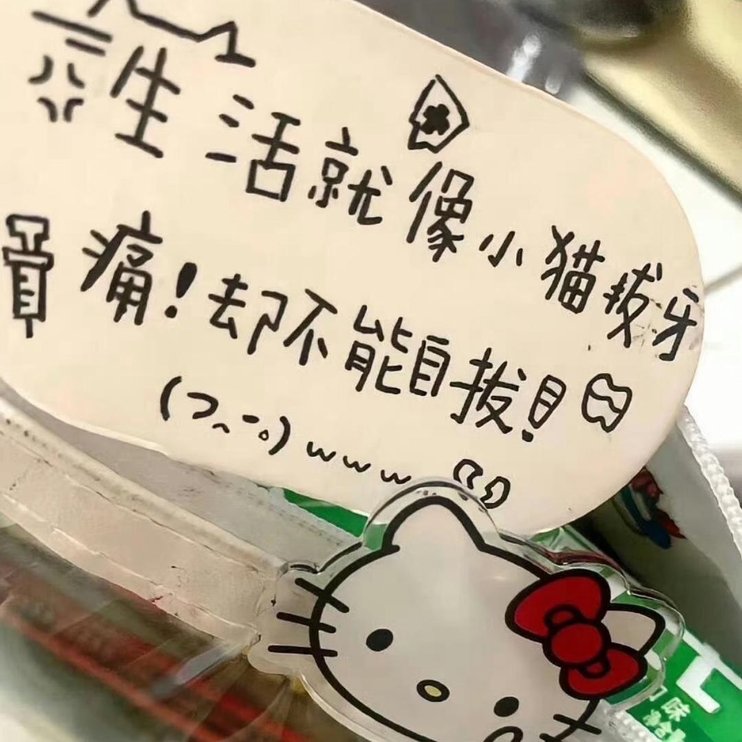 ʜᴀᴘᴘʏ̆̈ ～ 🐾