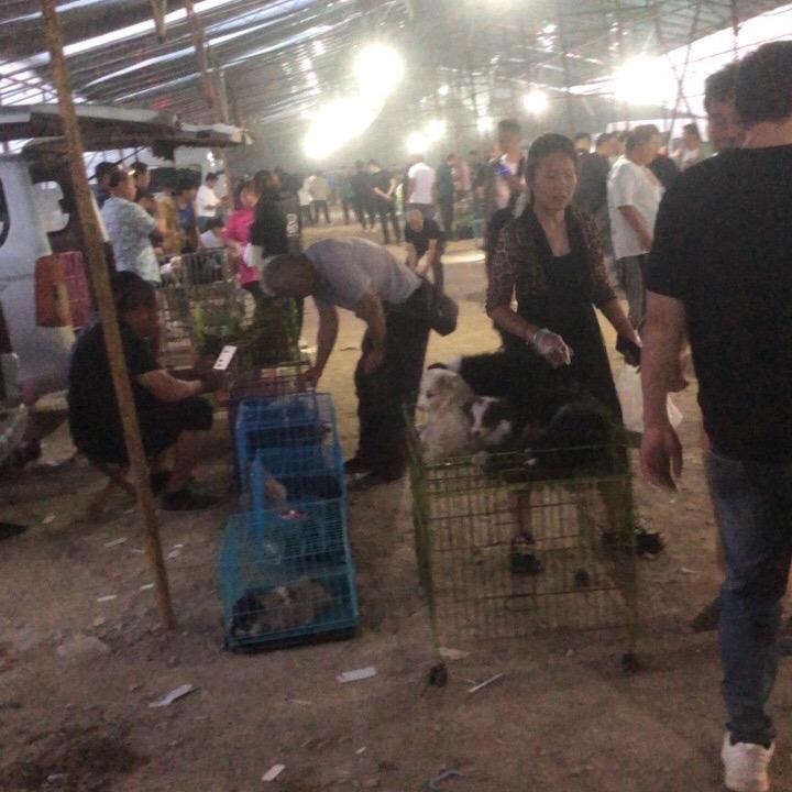 祥花精选小铺子