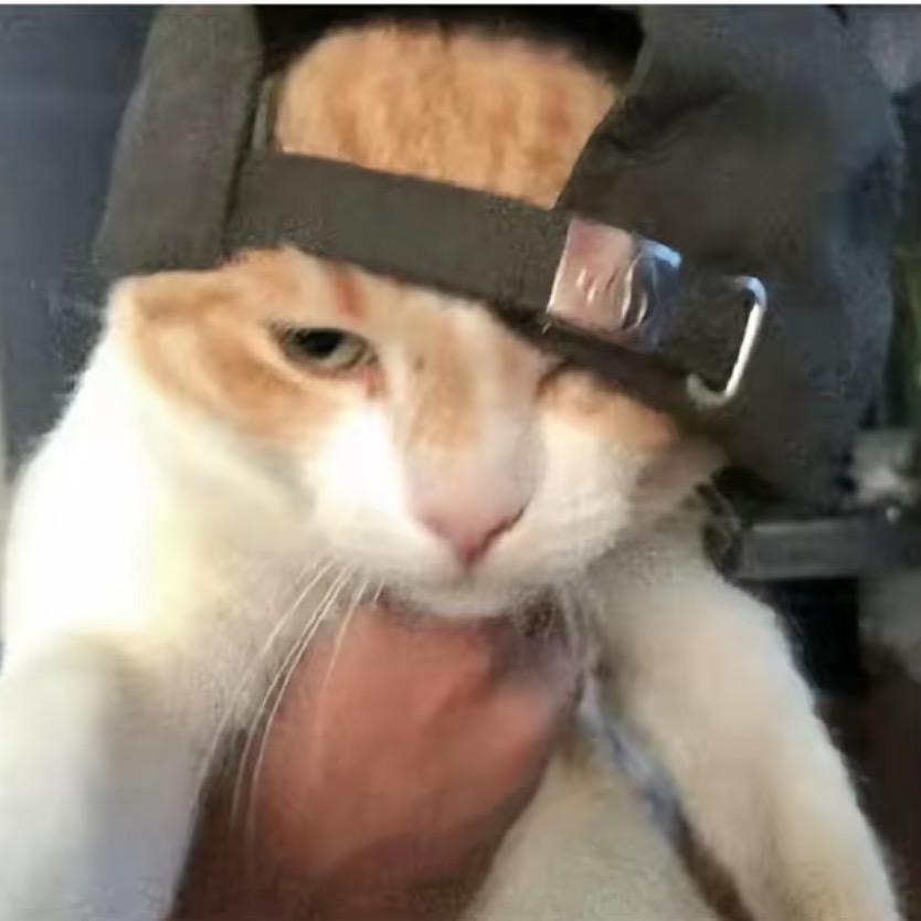 棱角
