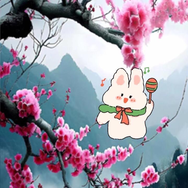 小兔子