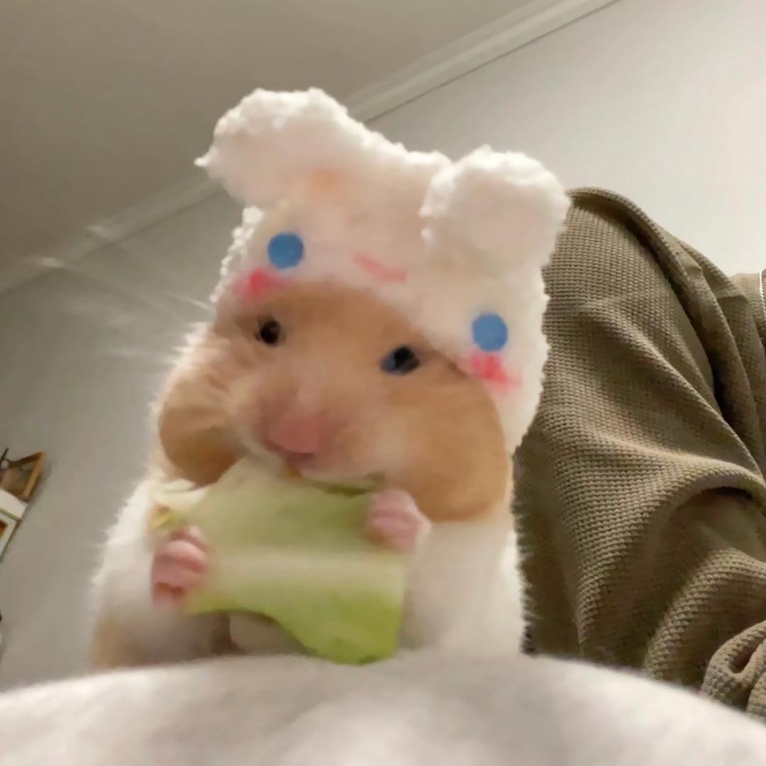开鑫