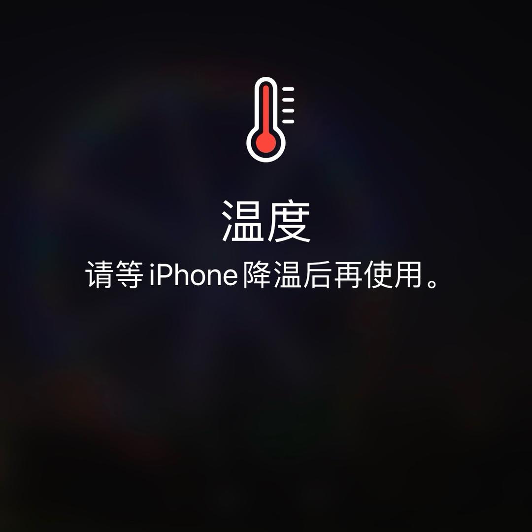 富富家女