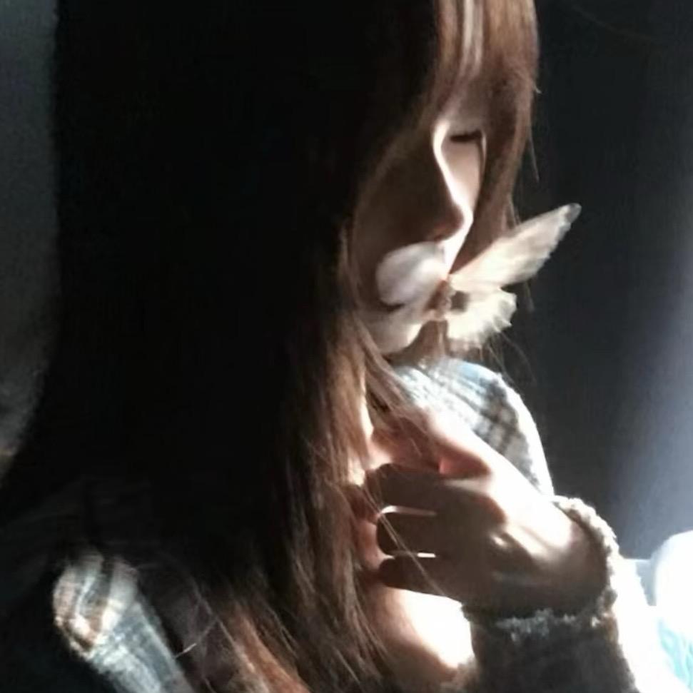 ㅤㅤㅤㅤㅤㅤㅤ ㅤㅤㅤㅤ ㅤㅤㅤㅤㅤㅤ