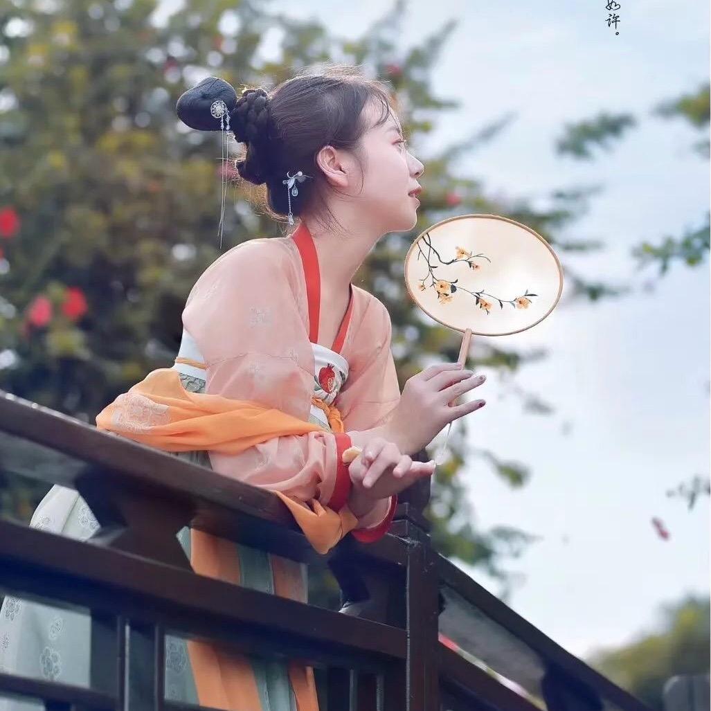 福建竹子种植批发基地