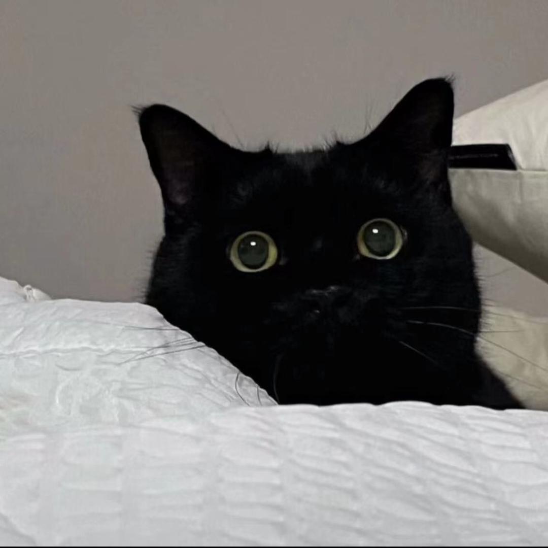 ？？？！