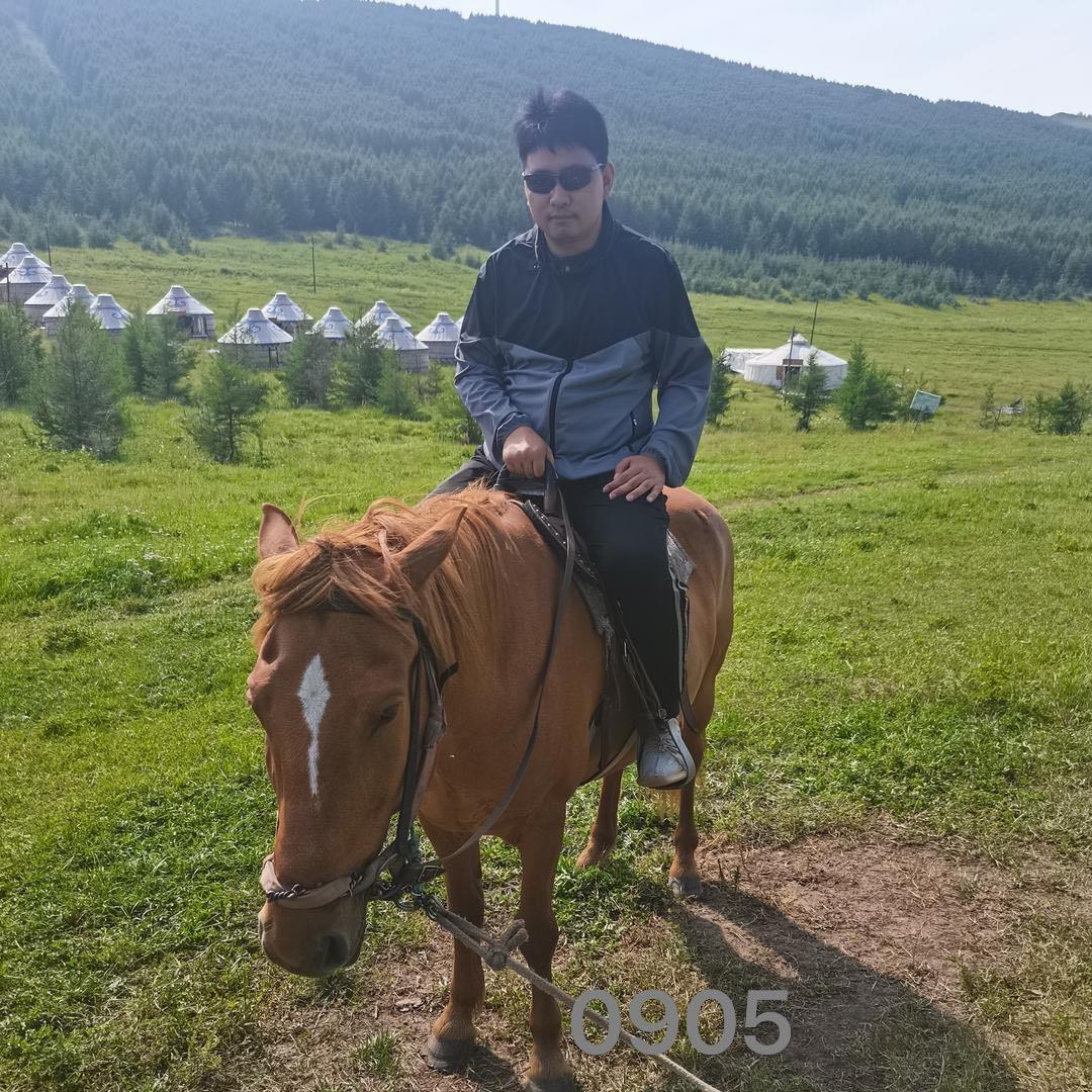 泊头报废车车务咨询