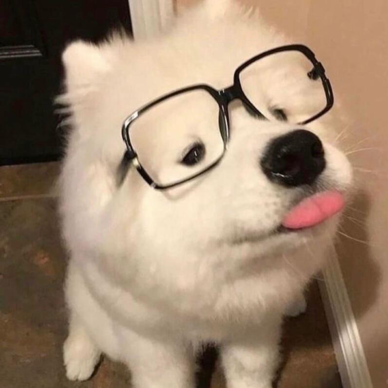 养猪恶魔