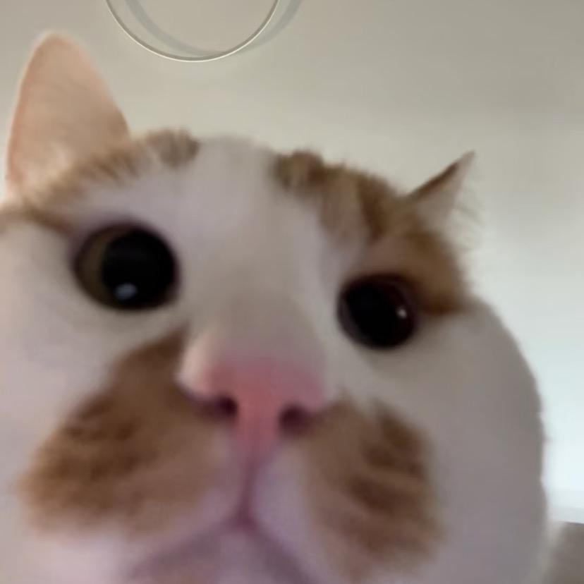 昕昕💗