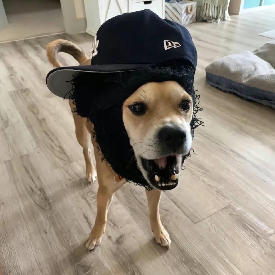 beeotm
