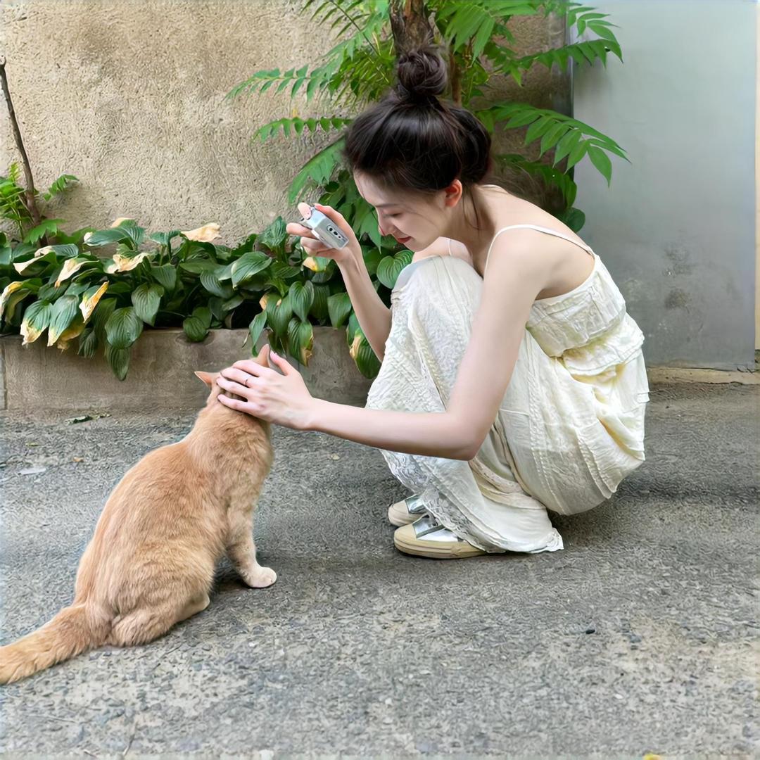 晚晚不晚