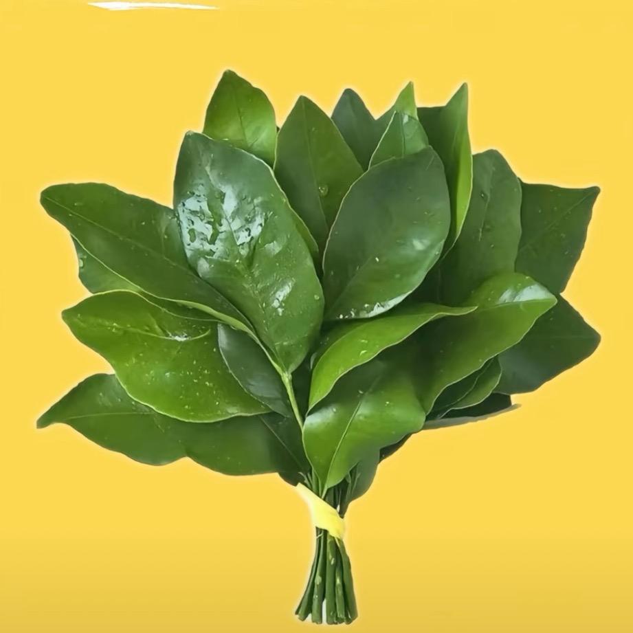 比卡丘（有关必回）
