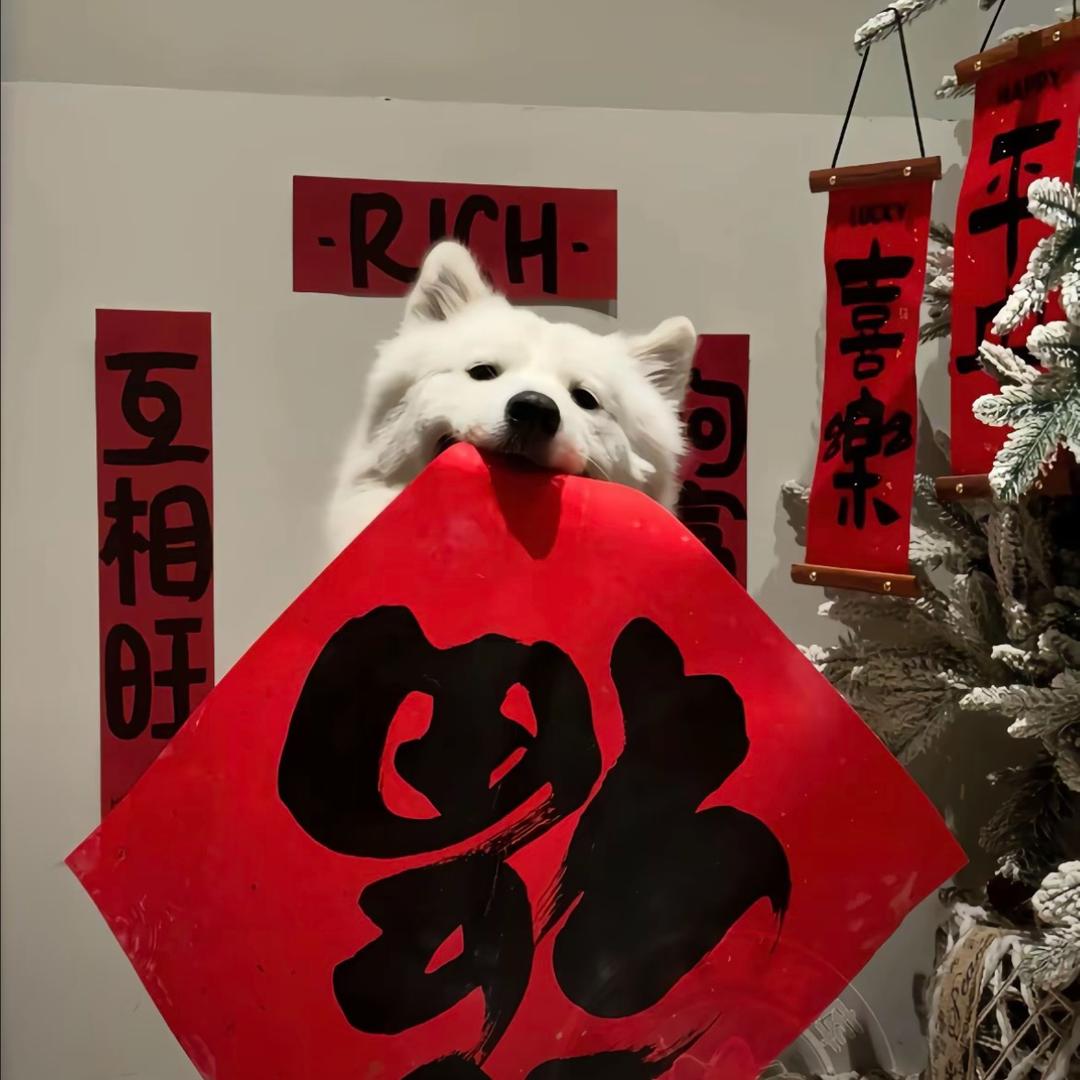 鑫淼呀