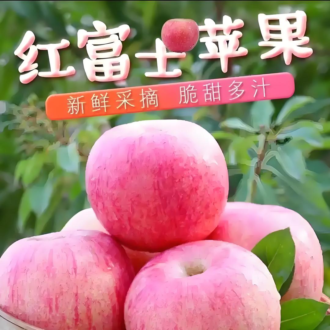 果园里长大的小磊