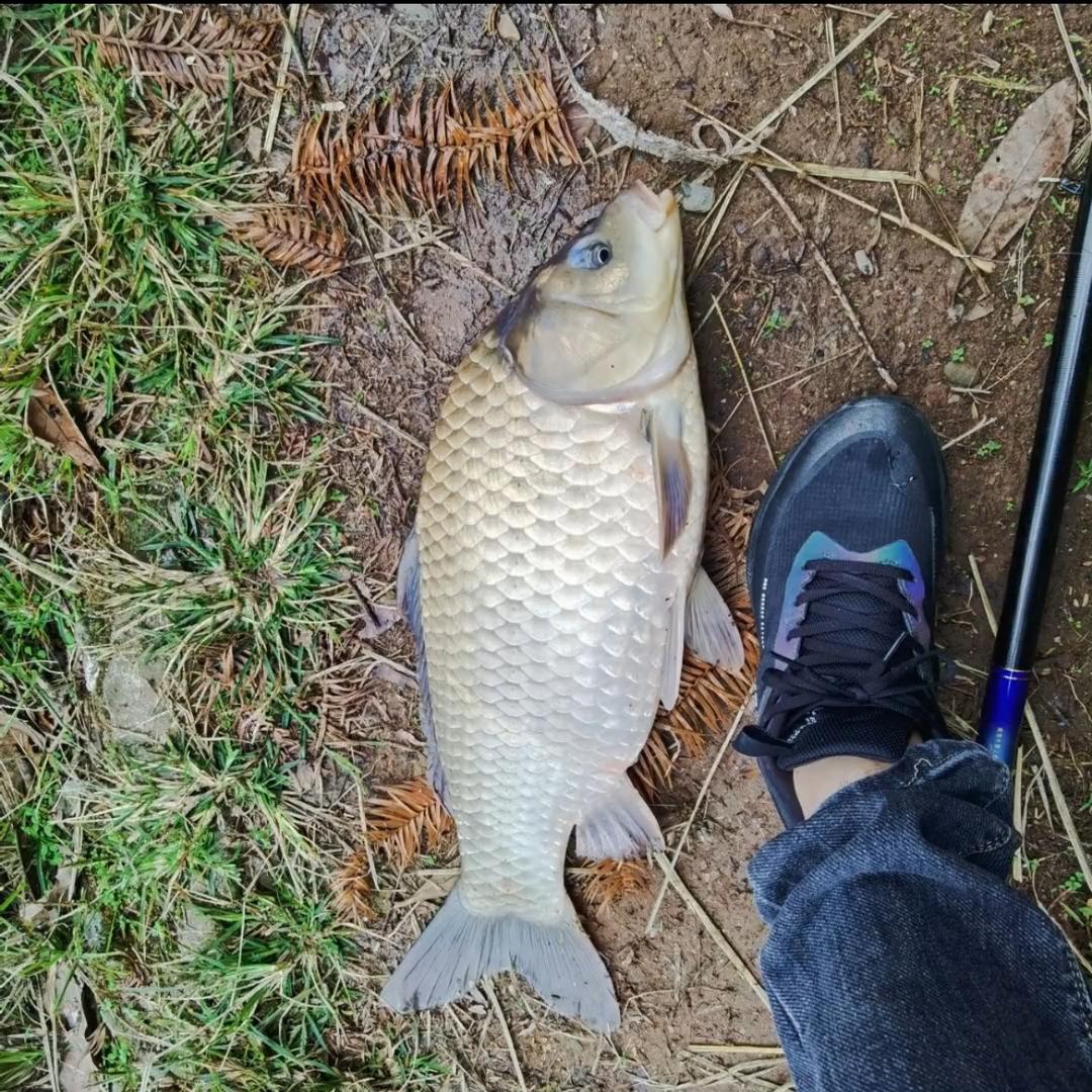🪝🐟不吃饭渔具自选超市